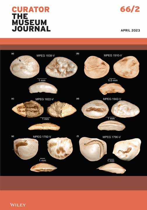 On “Nothing can be Changed Until it is Faced: Museum Solidarity Statements as Reflections of Understanding Systemic&nbsp;Racism”